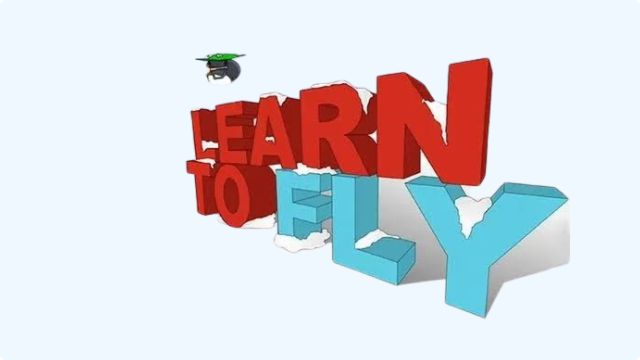 Learn to fly game